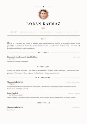  cv indir